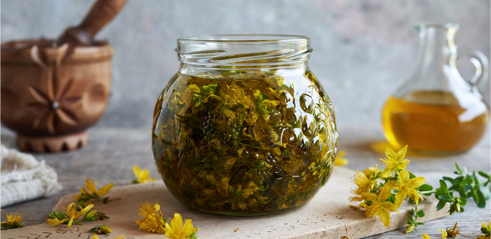 Kantaron Yağı Nedir? Faydaları ve Kullanımı