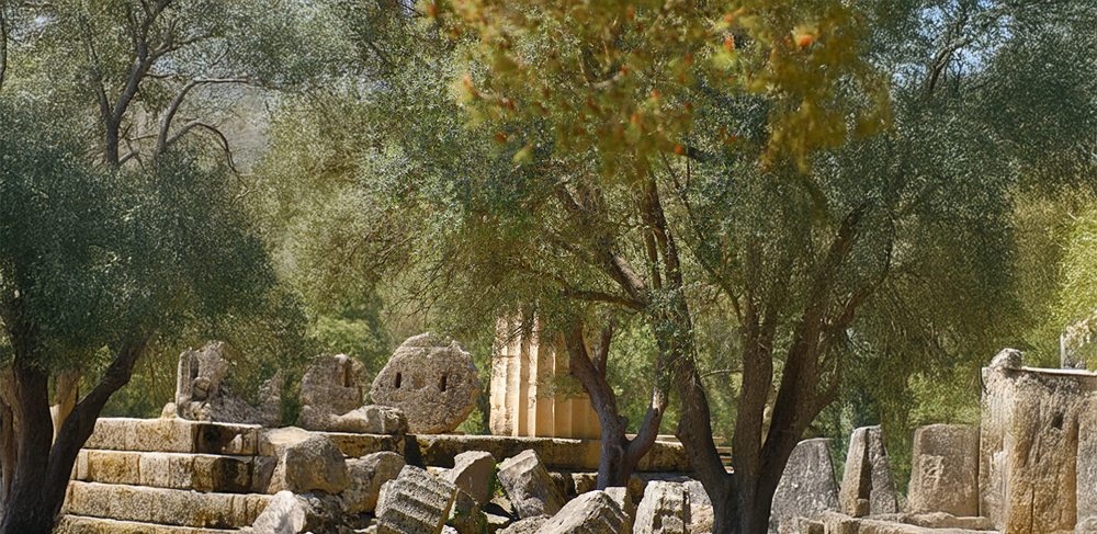 Zeytinin Mitolojik Yankısı: Doğadan Tanrılara Uzanan Bir Hikâye